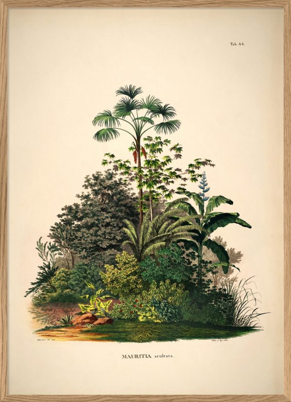 Mauritia-aculeata-the-dybdahl-pflanzenprint-kaufen-schweiz