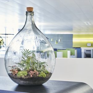 Flaschengarten-office-delight-54-kaufen-bepflanzt-schweiz