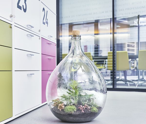 flaschengarten-office-delight-54-kaufen-bepflanzt-schweiz-bürobegrünung