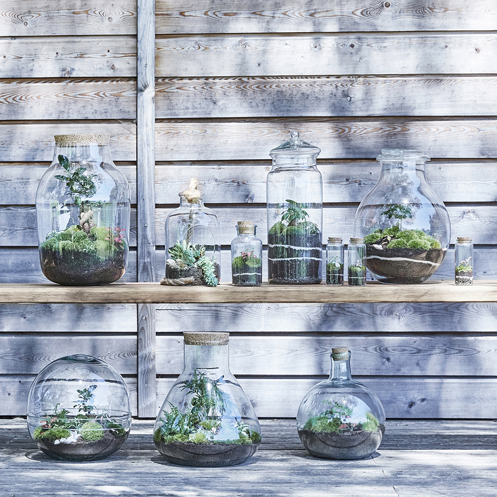 flaschengarten-terrarium-pflanzen-im-glas-bepflanzt