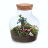 emerald-isle-diy-flaschengarten-terrarium-pflanzen-im-glas