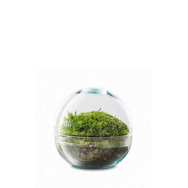space-ball-flaschengarten-terrarium-moos-im-glas
