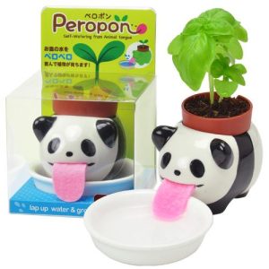 peropon-panda-selbstwässernd-geschenkidee